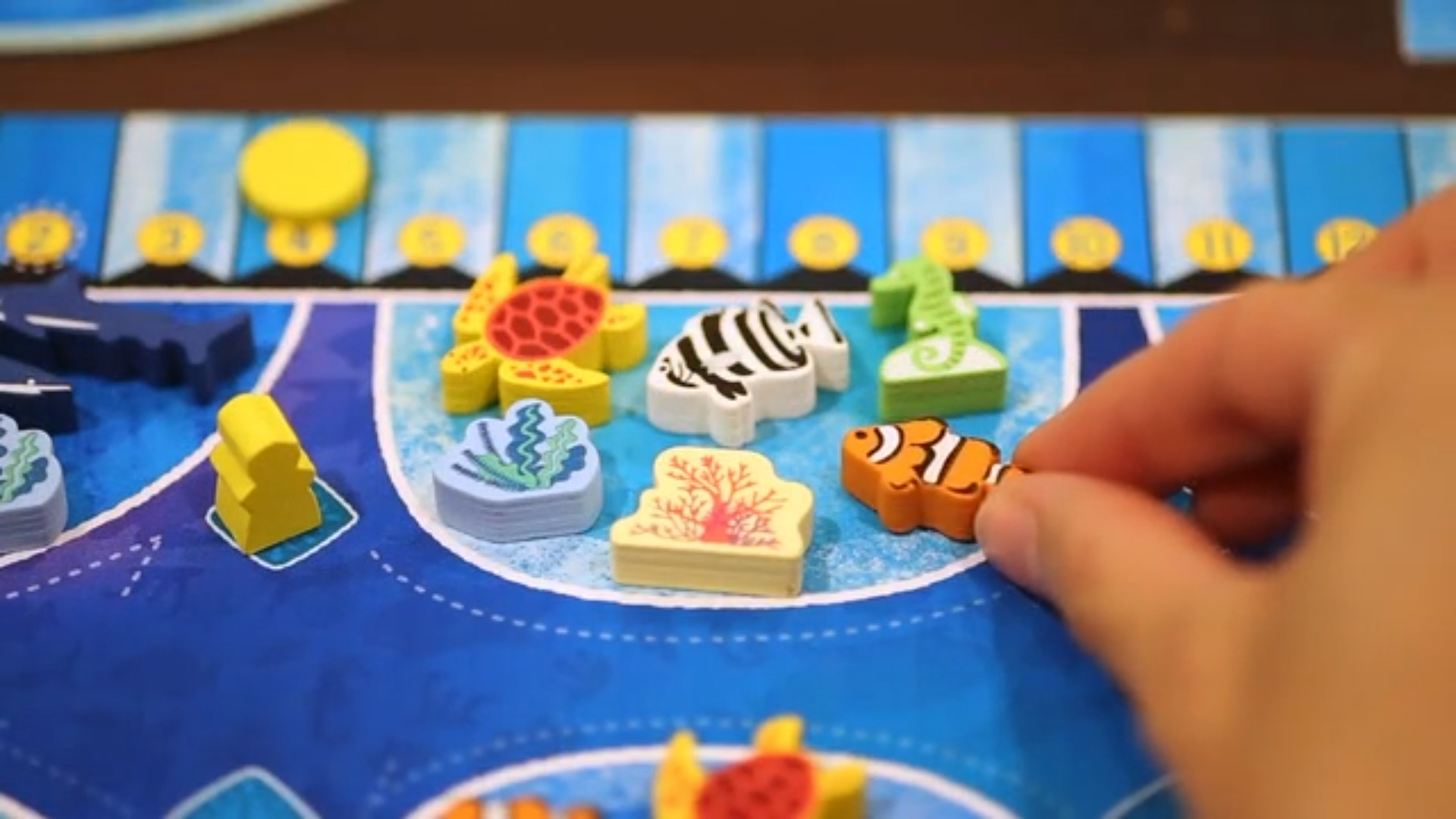 Create a marine paradise in fishplacement board game Aqua Garden Dicebreaker